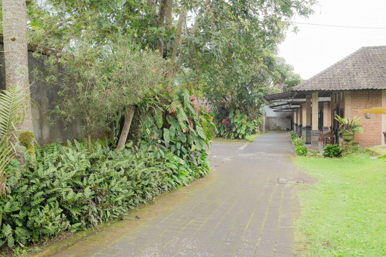 Pelangi Homestay Bedugul Redpartner Bedugul (Bali) Exterior foto